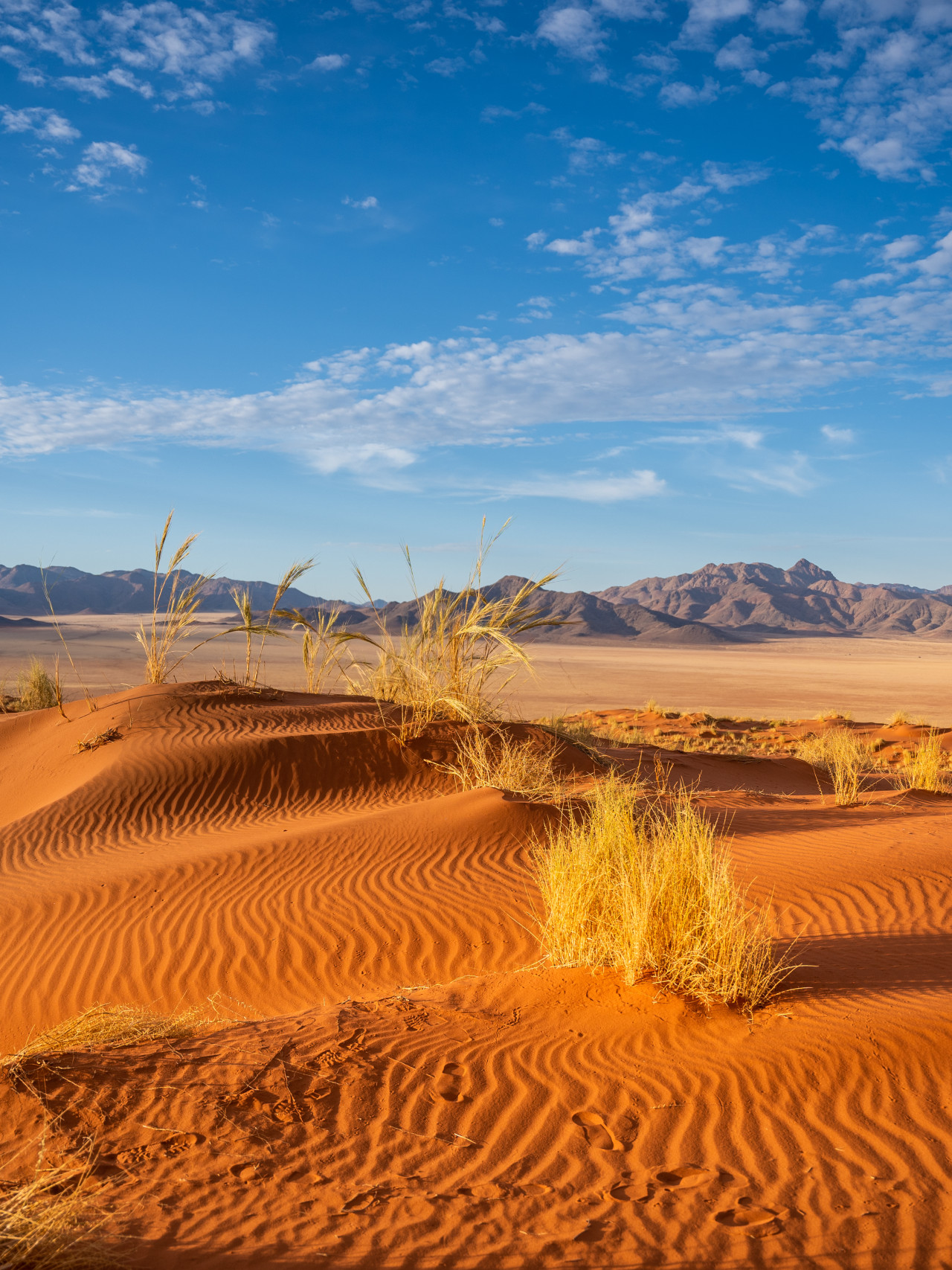 Herrliche Dünenwanderung in der Namib