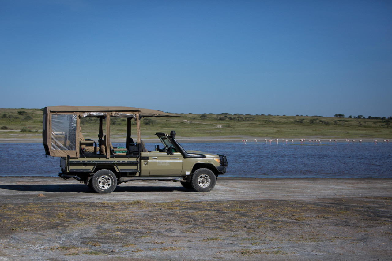 Spannende Wildbeobachtungen am Ndutu Lake