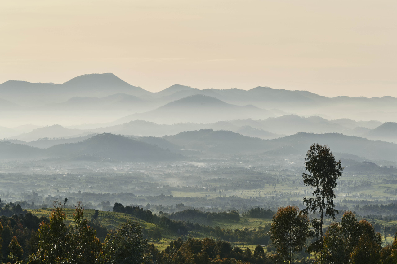 Frühmorgendliches Licht vor der Wanderung zu den Gorillas