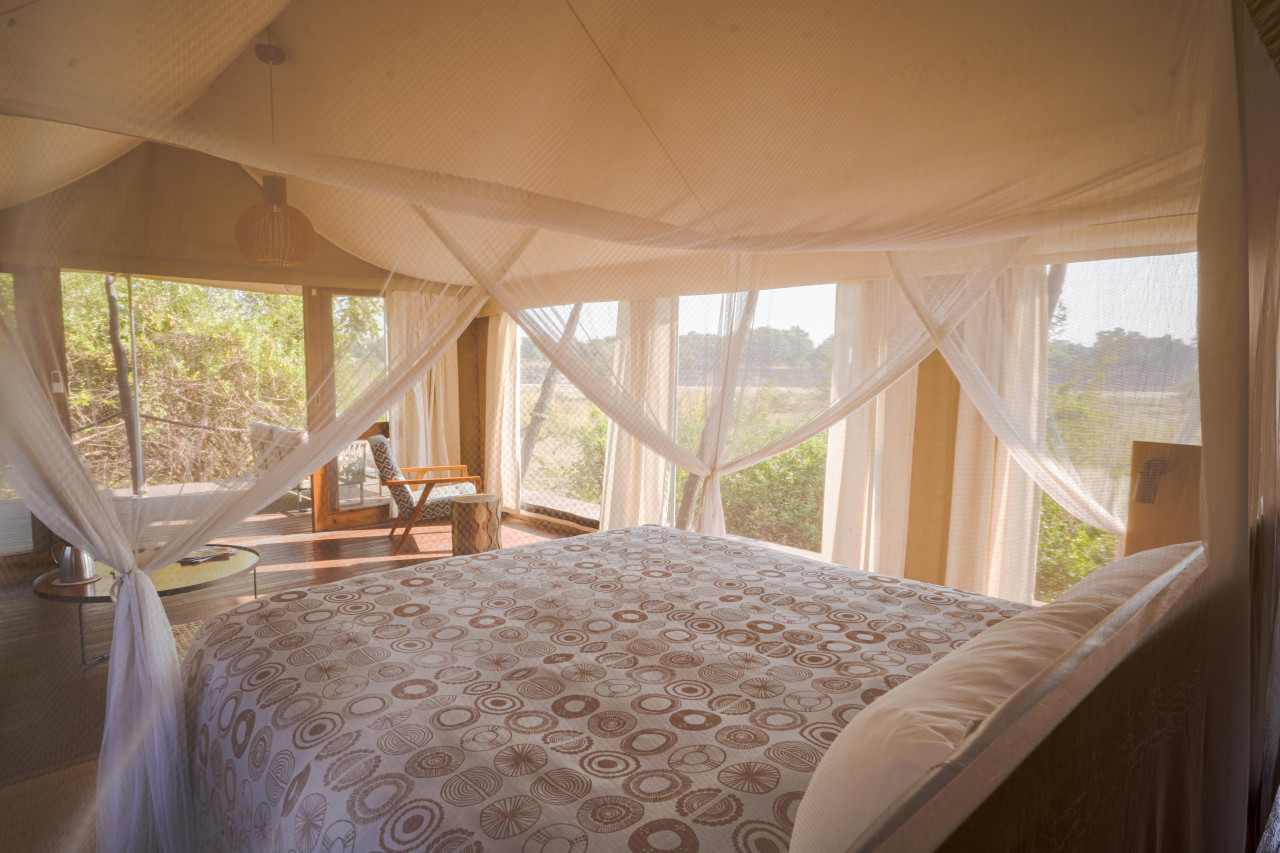 Helle, freundliche Zelte mit Rundumblick in die Wildnis