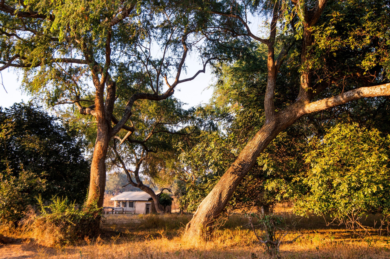 Gute Lage direkt am Eingang zum South Luangwa