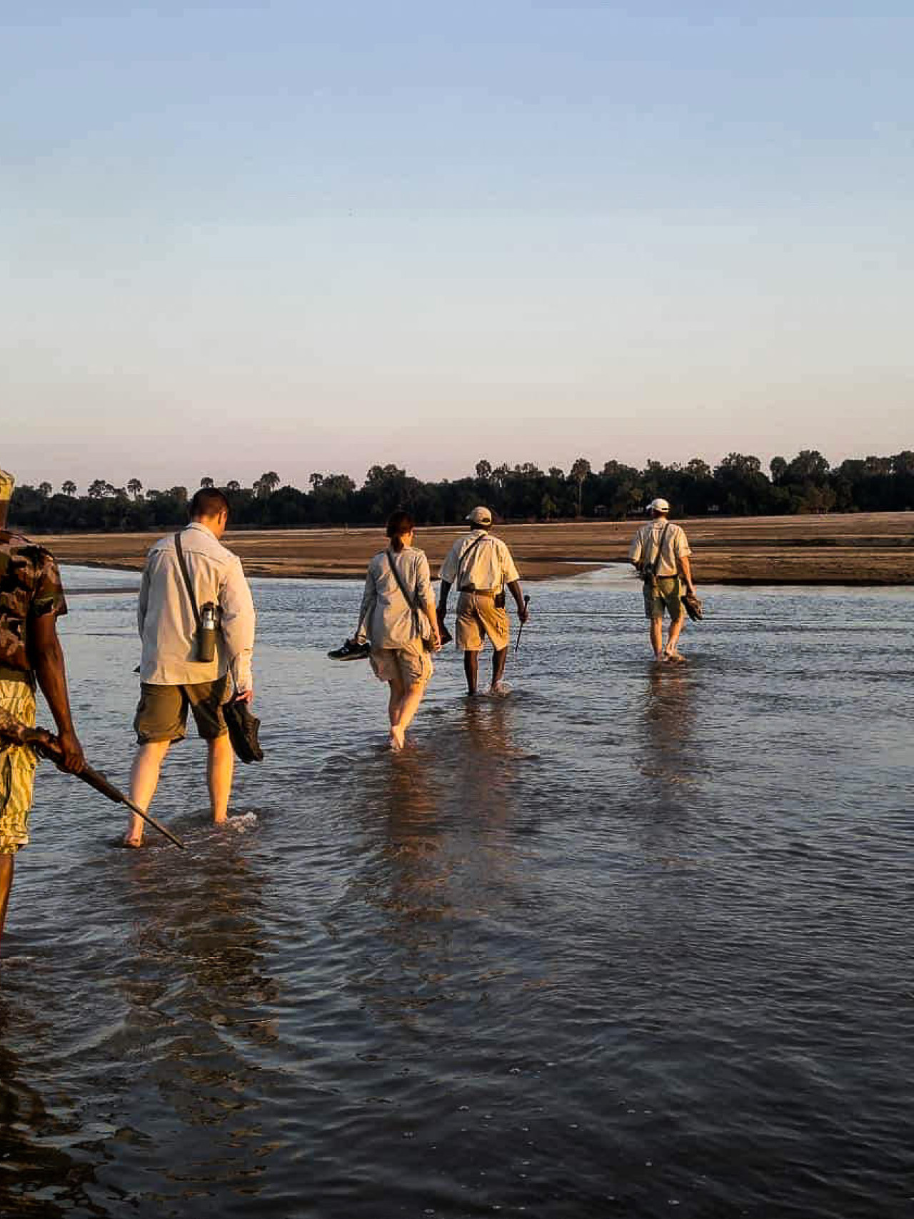 Walking Safari