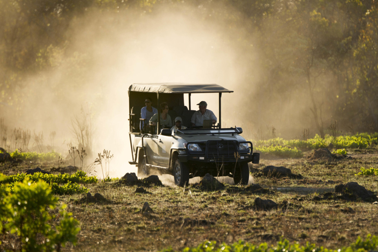 Spannende Pirschfahrt im Kafue-Nationalpark