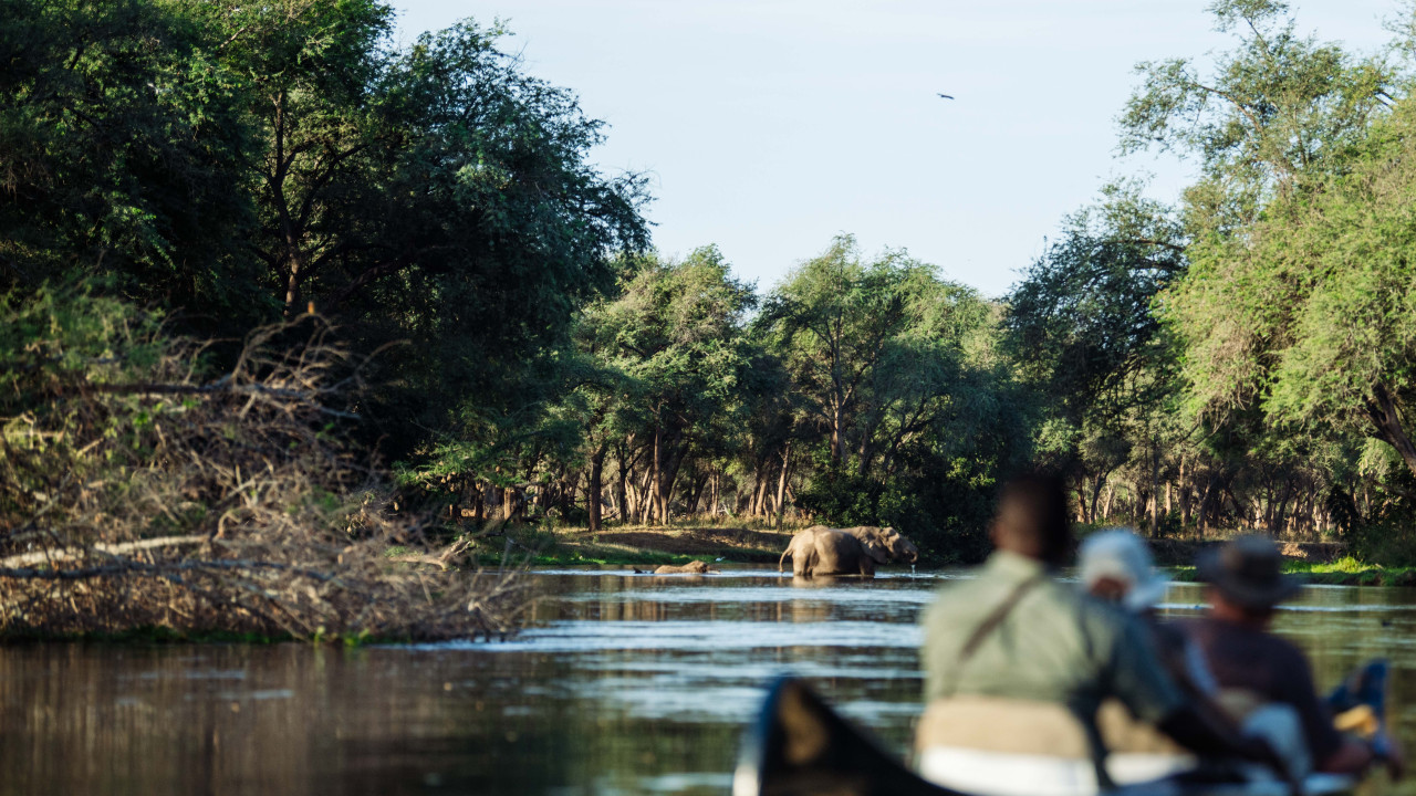 Frisches Brot und Leckereien mitten im Busch