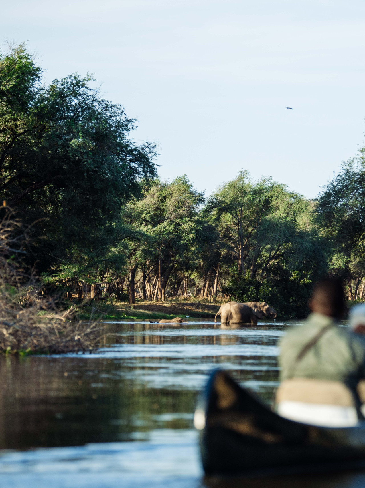 Frisches Brot und Leckereien mitten im Busch