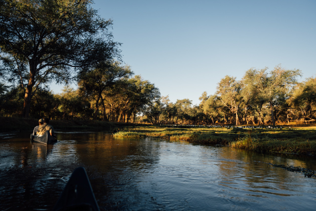 Auf dem Zambezi dahingleiten und die Natur spüren