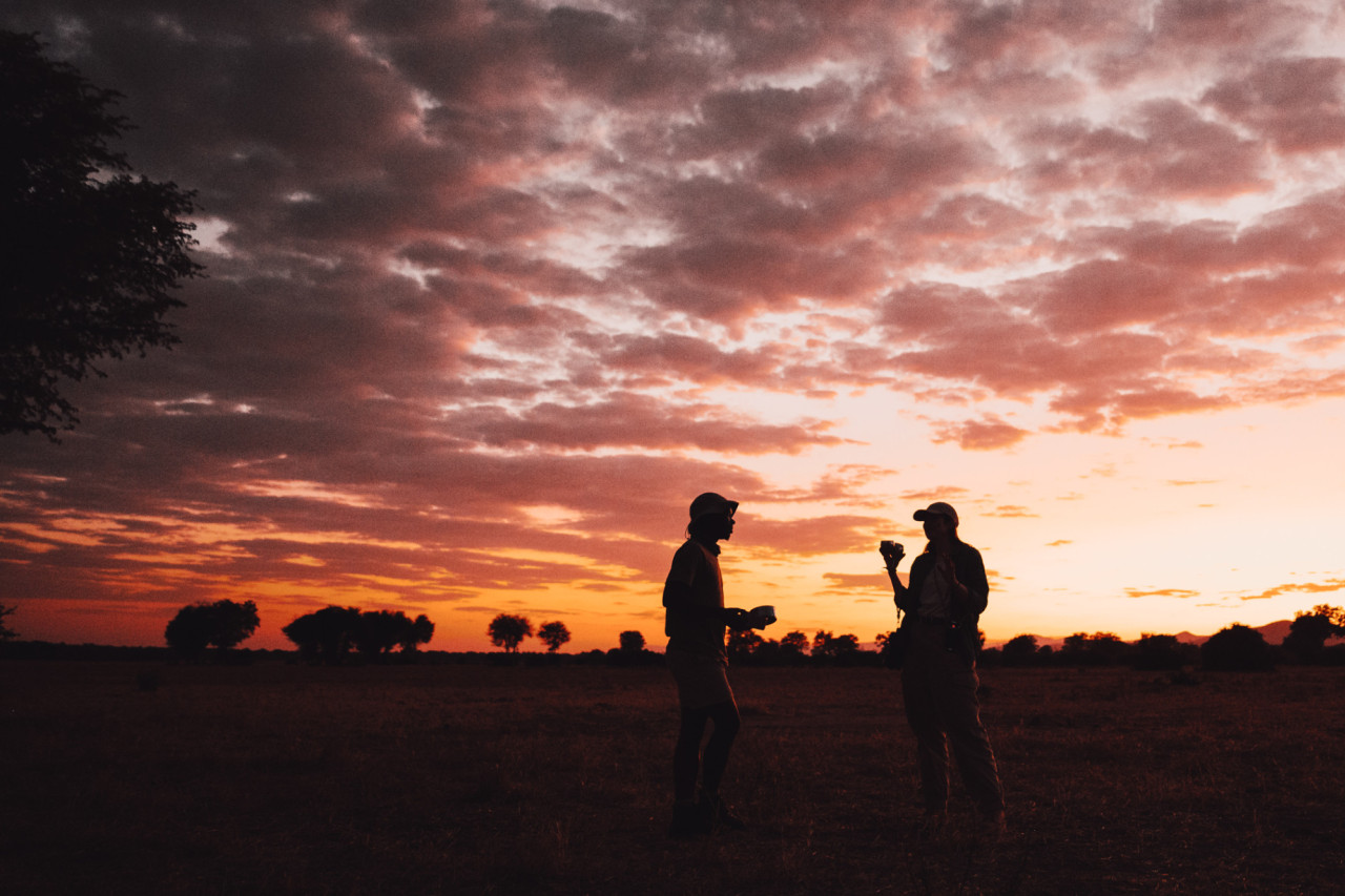 Spektakuläre Sonnenuntergänge im Lower Zambezi