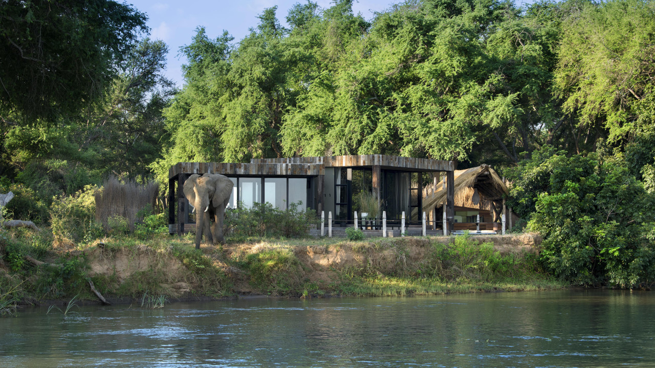Bekannt für seine blühenden Elefantenherden