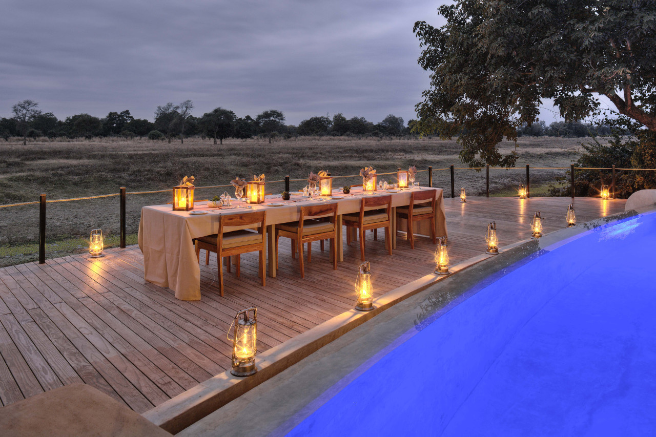 Köstliches Dinner mit Blick auf vorbeiziehende Tiere