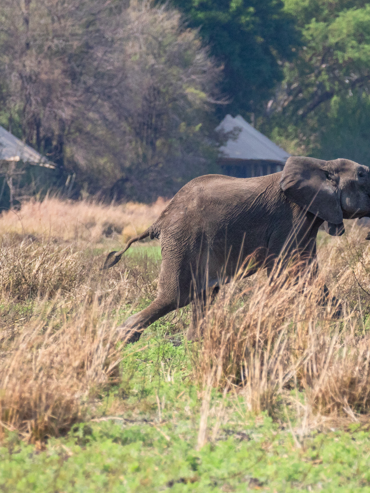 Ungewöhnliche Beobachtungen rund um das Camp