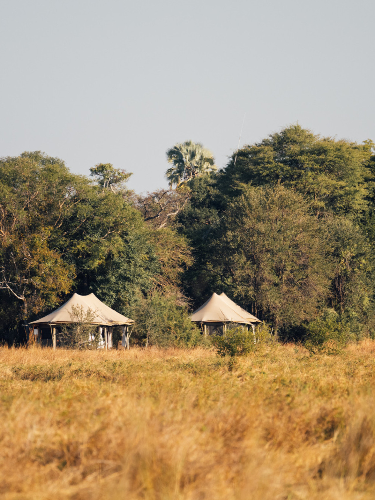 Authentisches Camp am Rande einer spektakulären Lagune