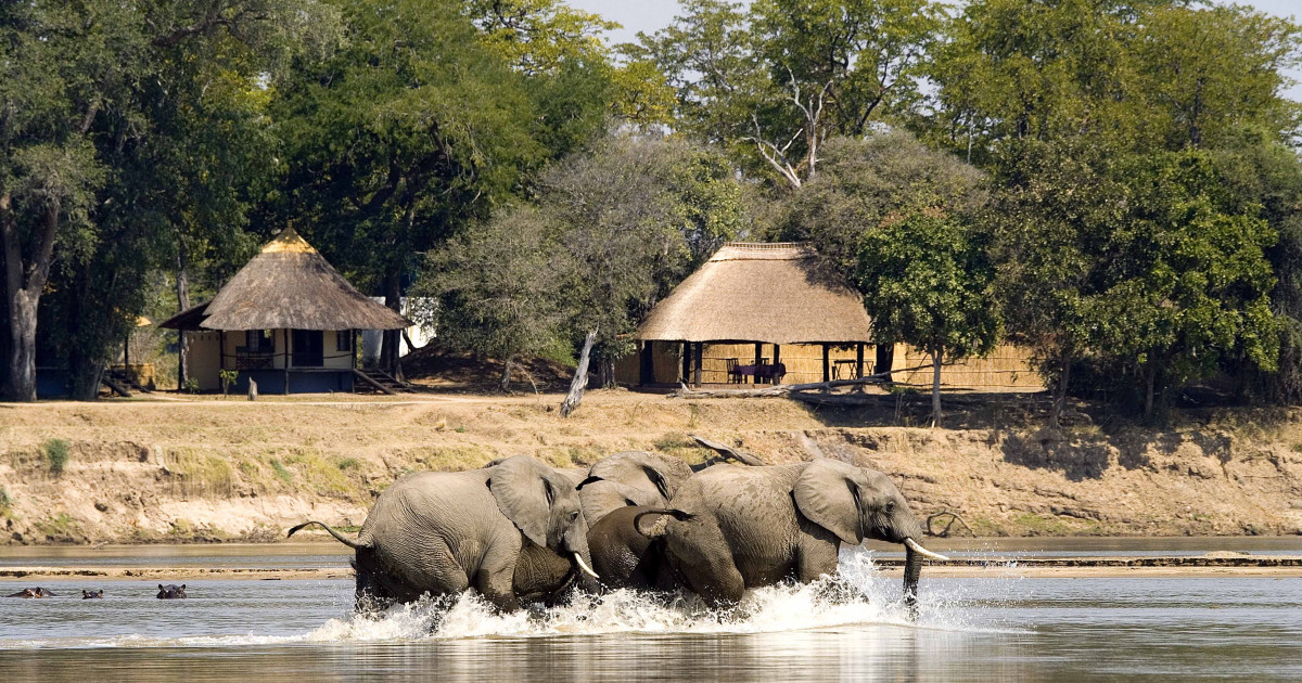 Bushcampp Dad Raps Natur & Abenteuer – Nsefu Bushcamp entdecken