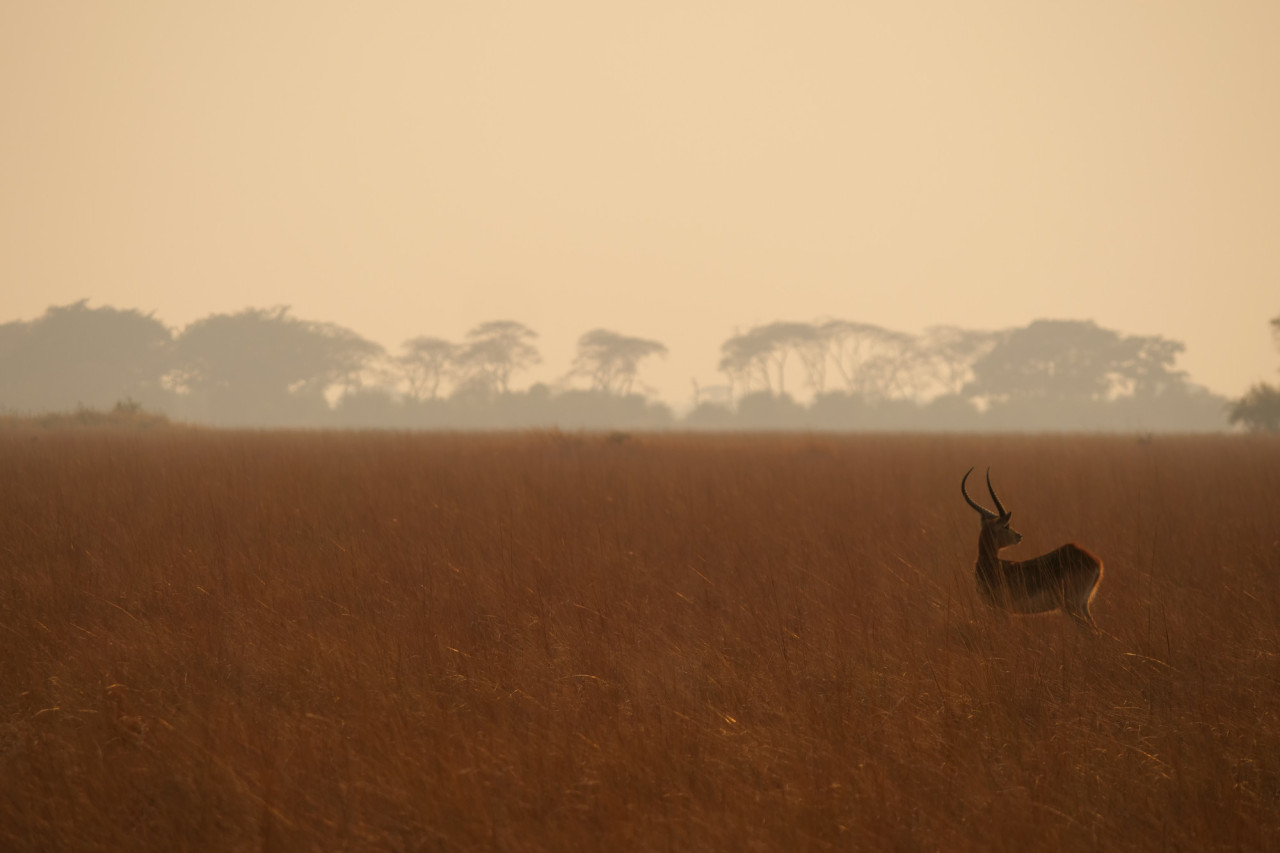 Fantastische Fotomotive während Sonnenauf-/untergang