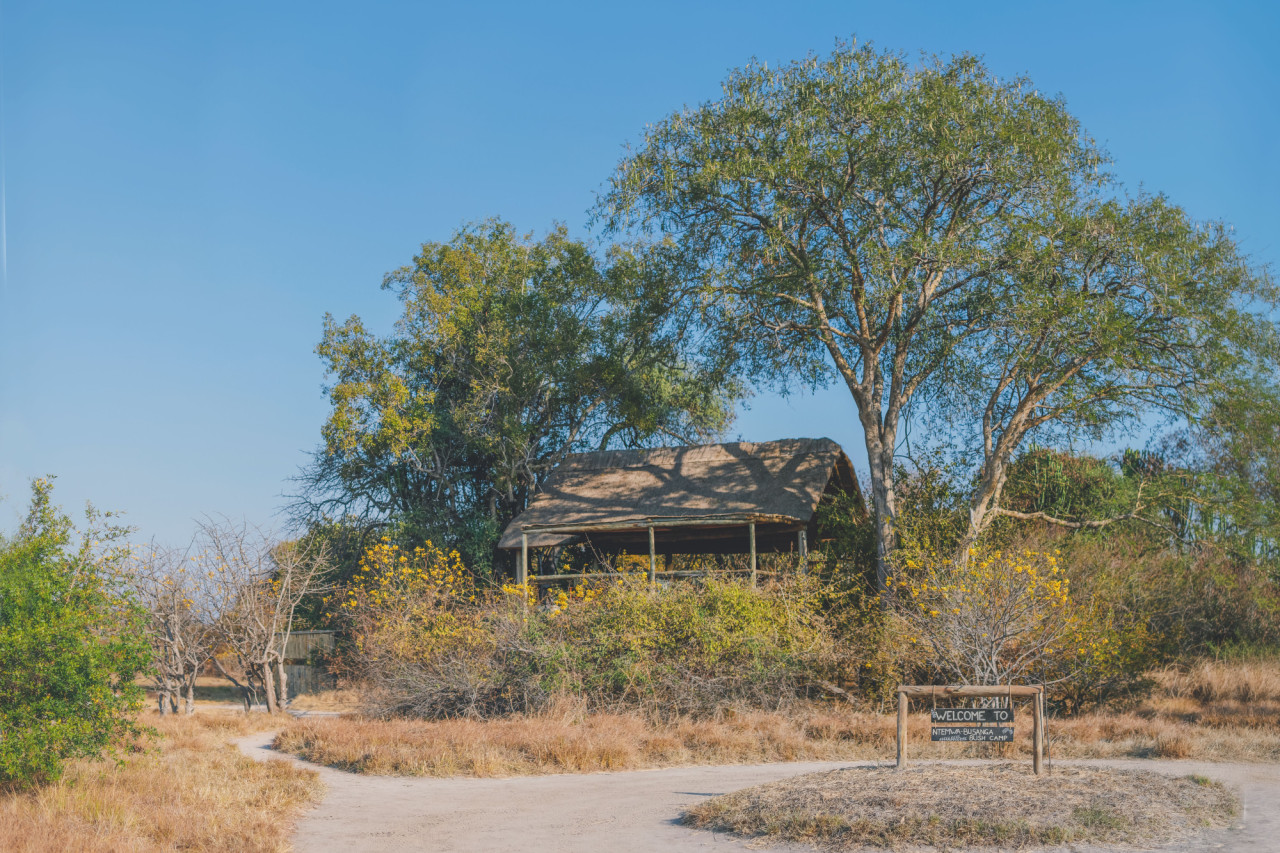Willkommen im Ntemwa Busanga Camp