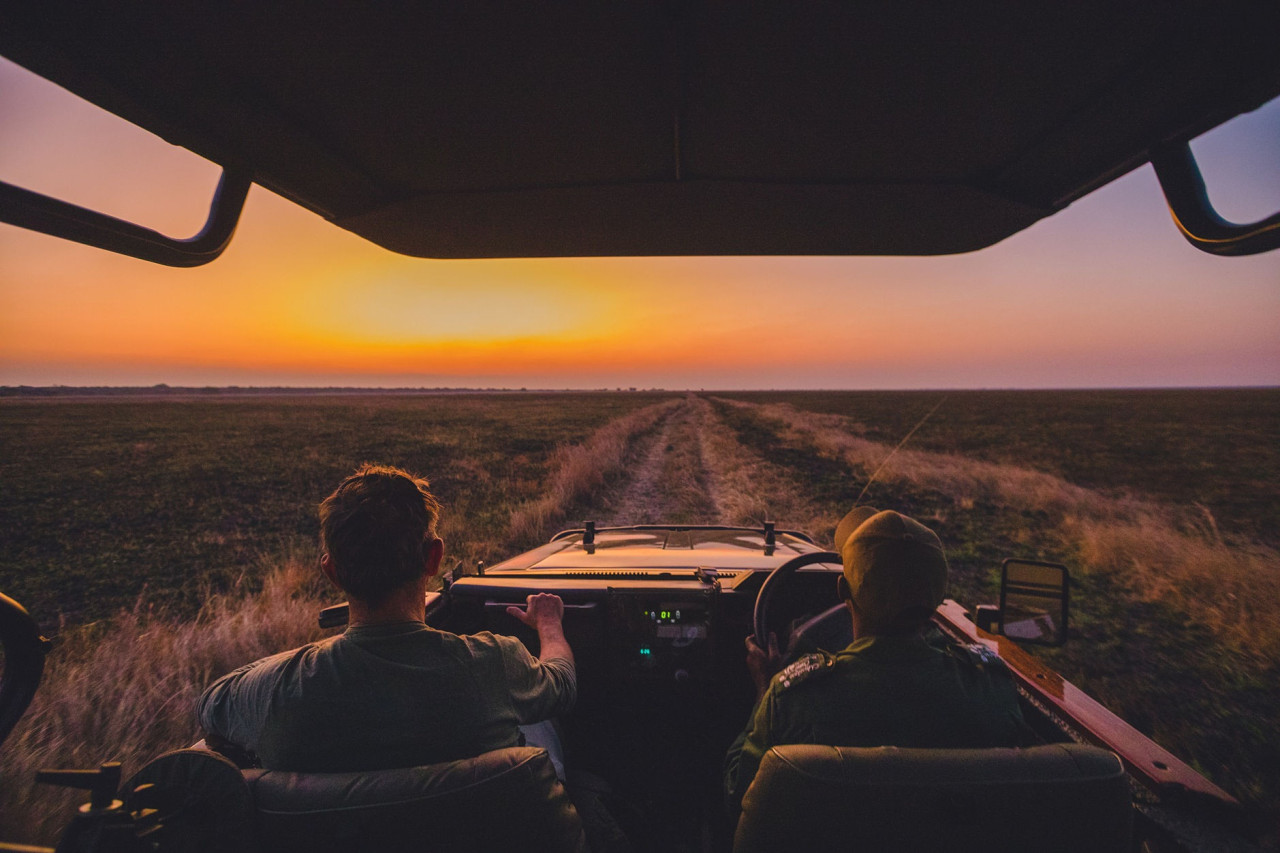 Entdecken Sie die zahlreiche Tierwelt in Busanga Plains