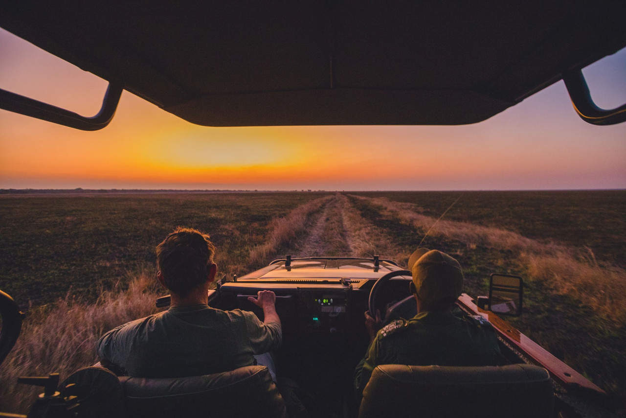 Entdecken Sie die zahlreiche Tierwelt in Busanga Plains