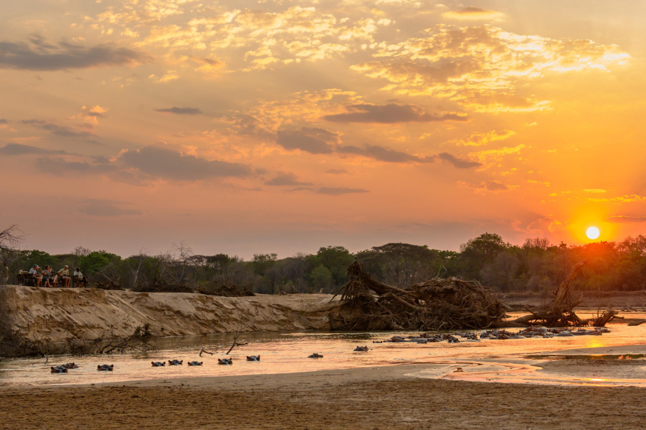 Über 450 Nilpferde in diesem Gebiet