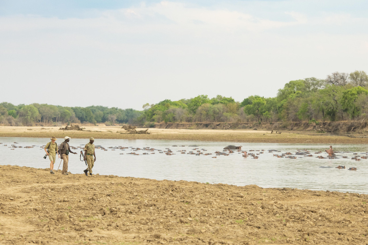 Begleitete Fußpirsch sowie Pirschfahrt am Flussufer