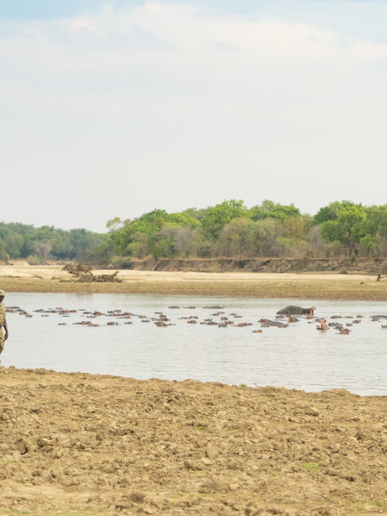 Begleitete Fußpirsch sowie Pirschfahrt am Flussufer