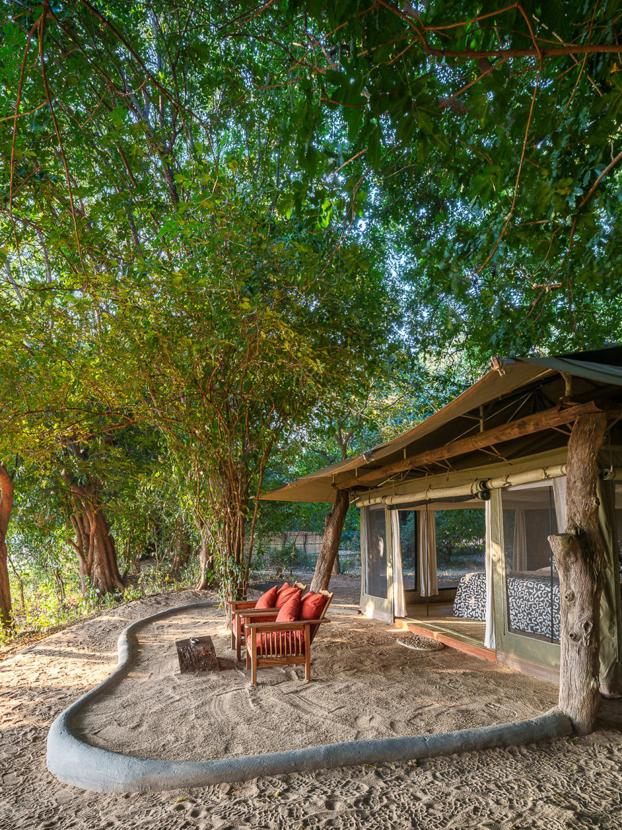 Luxuriöse Zelte unter großen Mahagoni Bäumen