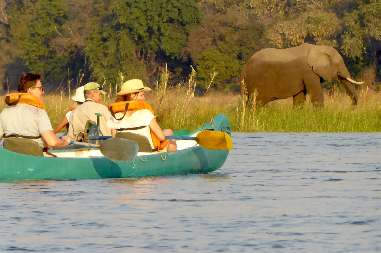 Mit dem Boot über den Sambesi gleiten