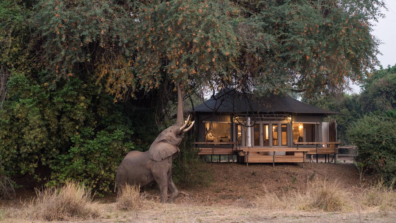 Ein Hauch ungezähmter Wildnis am Rande von Mana Pools