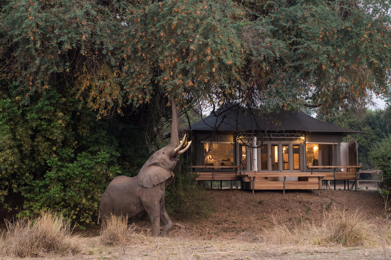 Ein Hauch ungezähmter Wildnis am Rande von Mana Pools