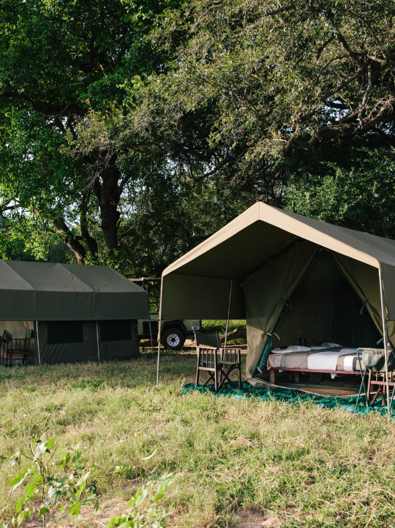 Authentisches Safari-Camp mit vier Zelten