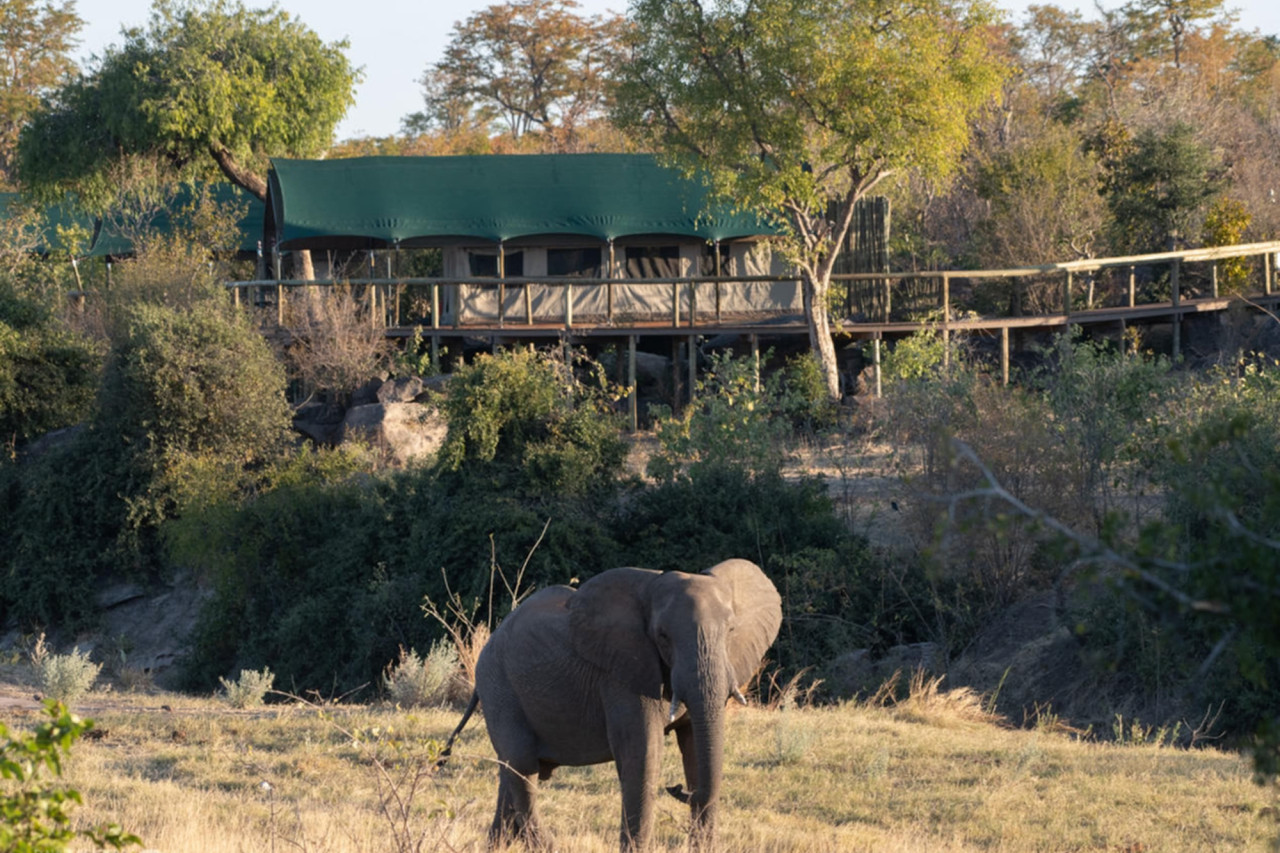 Fantastisches Safari-Camp in einem Gebiet mit vielen Tieren