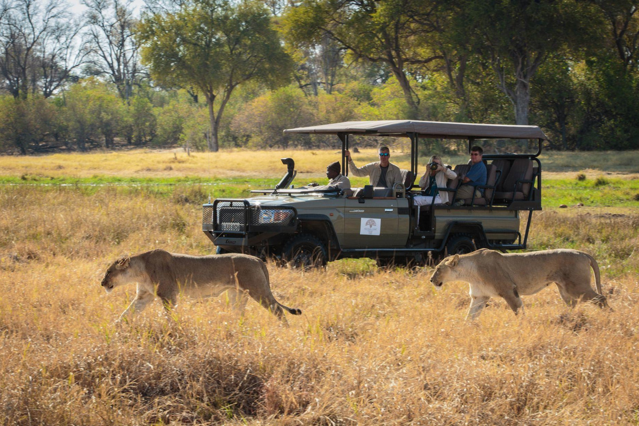 Pirschfahrten und wilde Wandersafaris