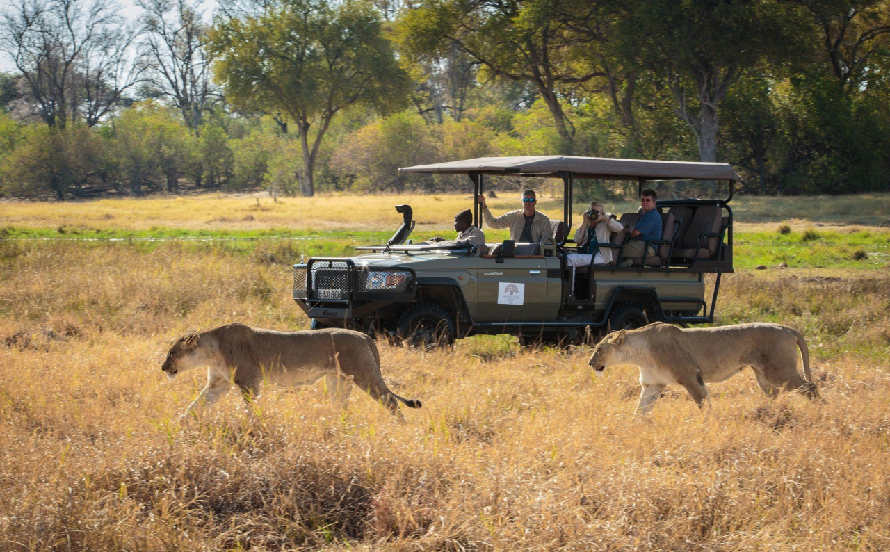 Pirschfahrten und wilde Wandersafaris
