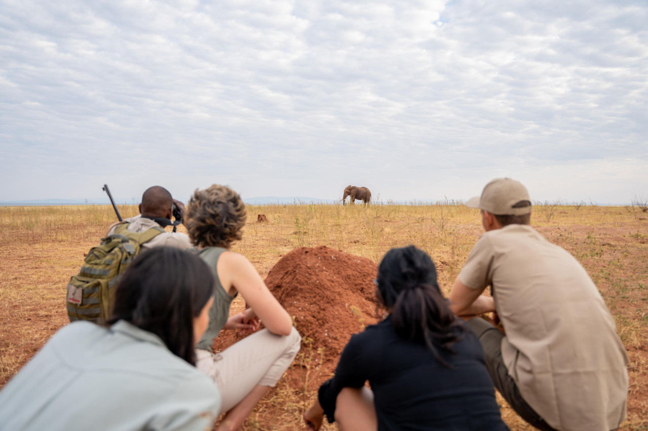 Hautnahe und persönliche Erlebnisse in der Wildnis