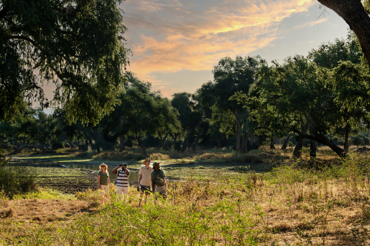 Wildbeobachtungsfahrten und wilde Wandersafaris