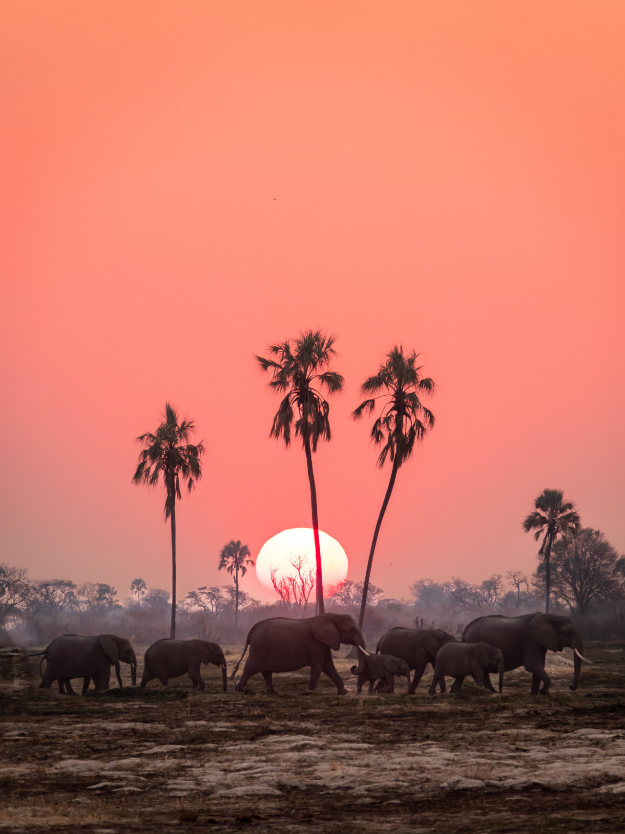 Fantastischer Sonnenuntergang