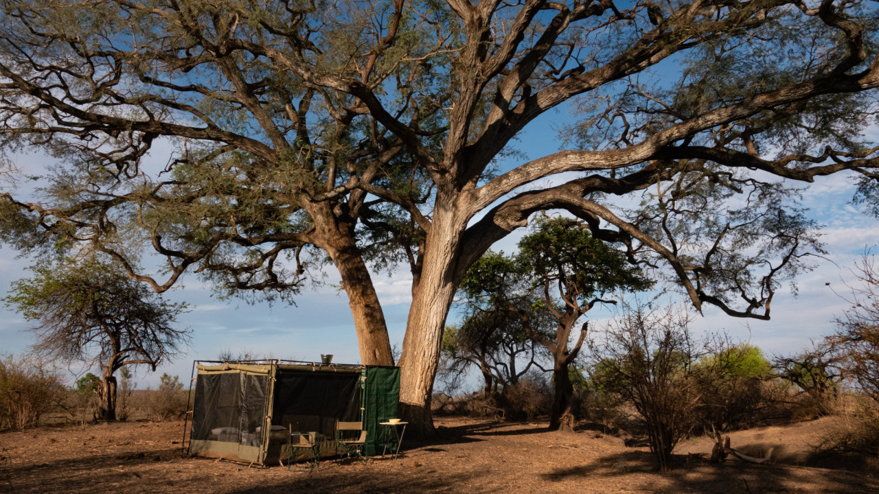 Authentisches Safari-Erlebnis in der afrikanischen Wildnis