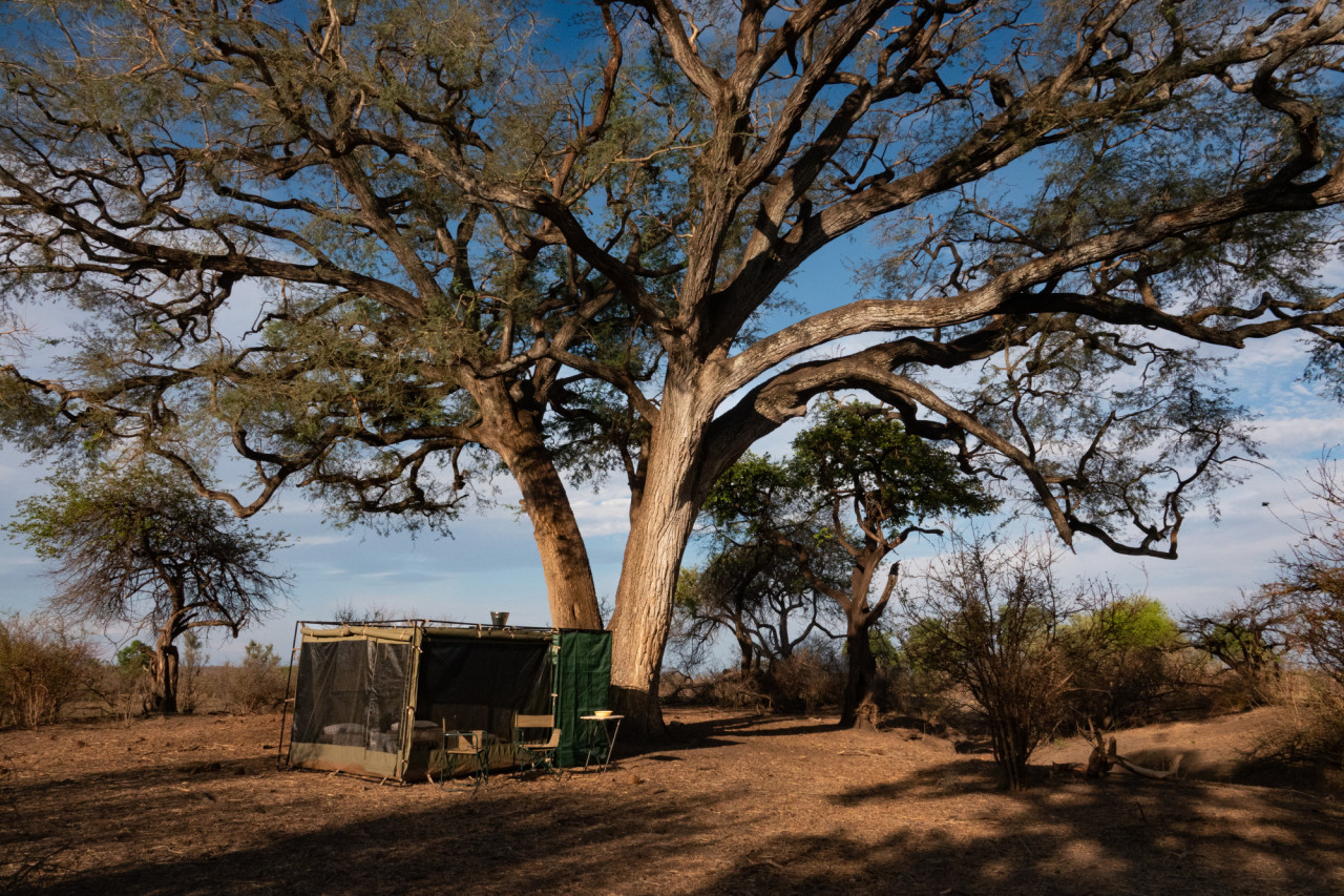 Authentisches Safari-Erlebnis in der afrikanischen Wildnis
