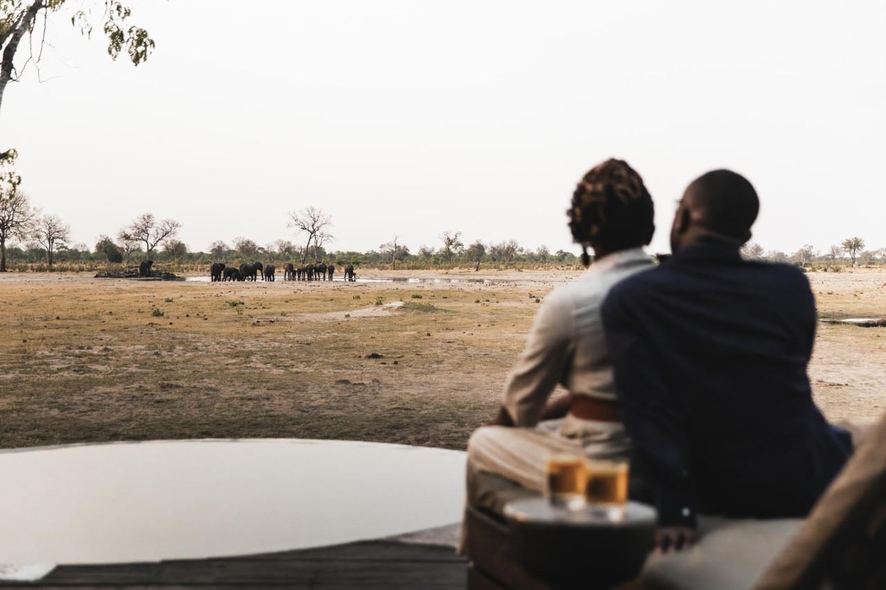 Am Pool beobachten Sie die Tiere am Wasserloch