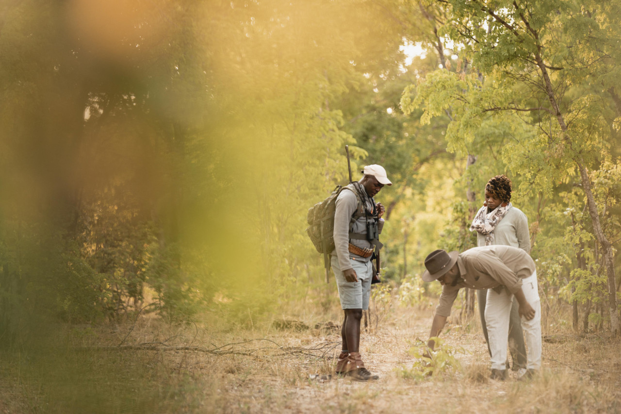 Entdecken Sie die Natur mit einem professionellen Guide