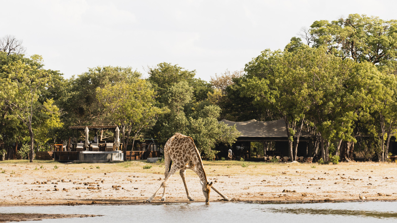 Großartige Safari-Erlebnisse im klassischen Camp