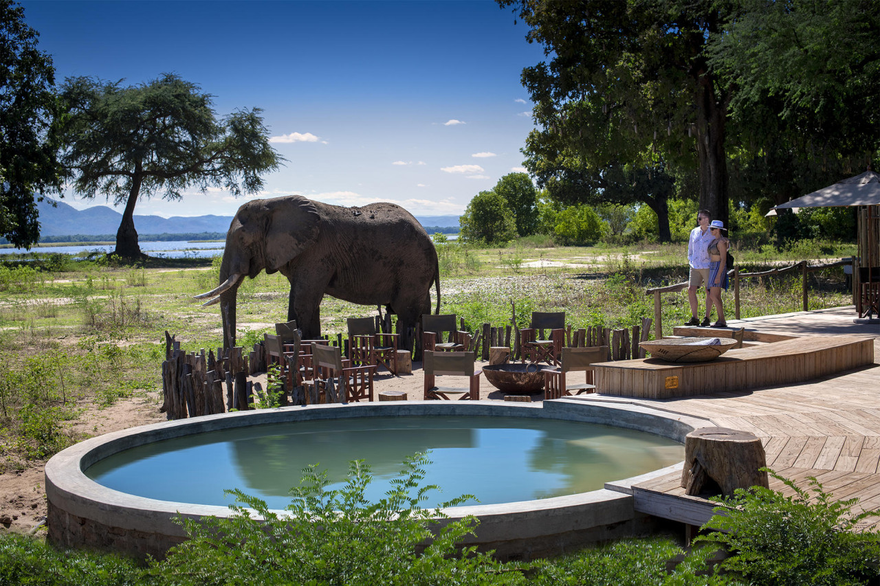 Paradies für Wildtiere im Mana Pools Nationalpark