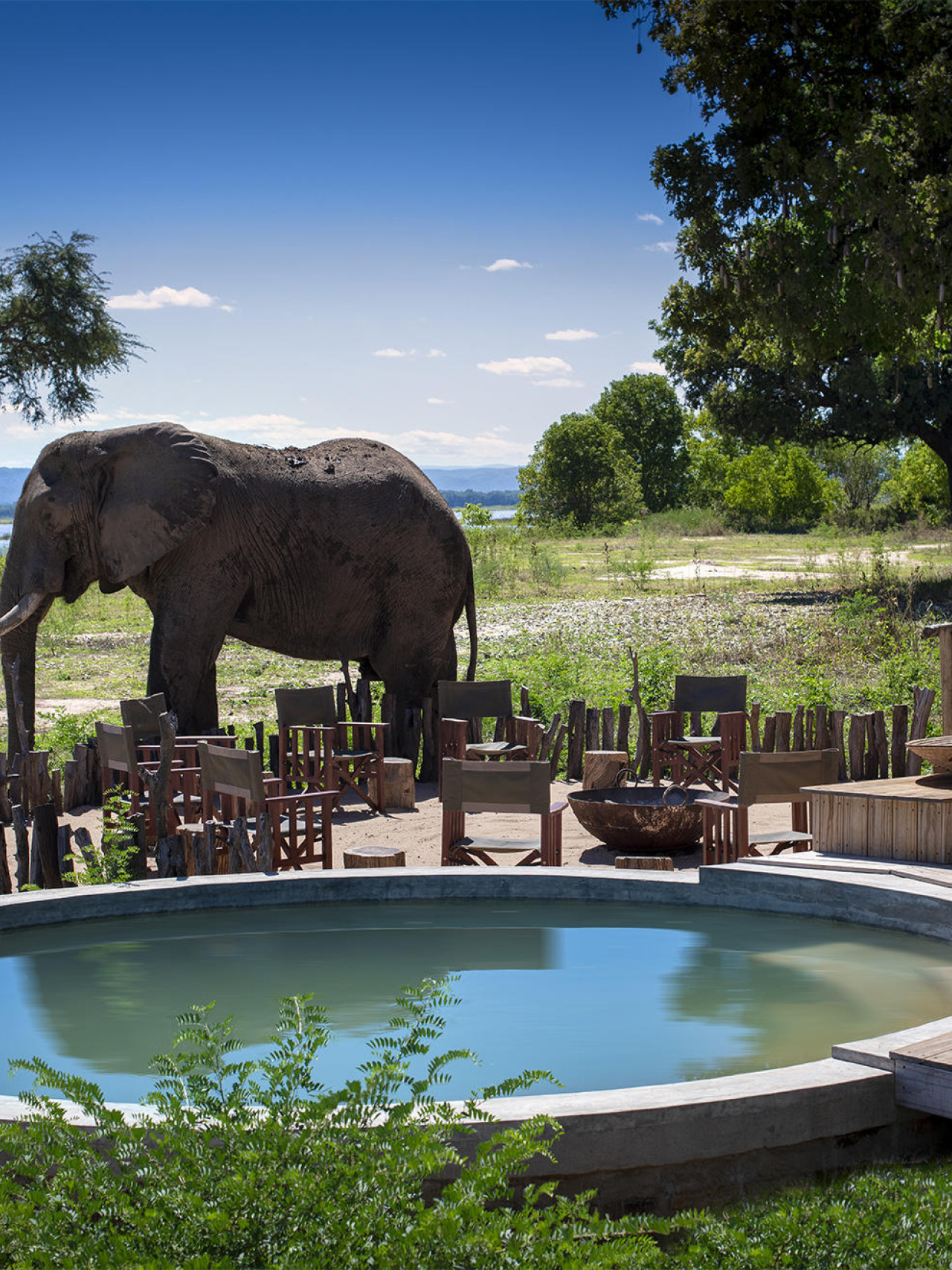 Paradies für Wildtiere im Mana Pools Nationalpark