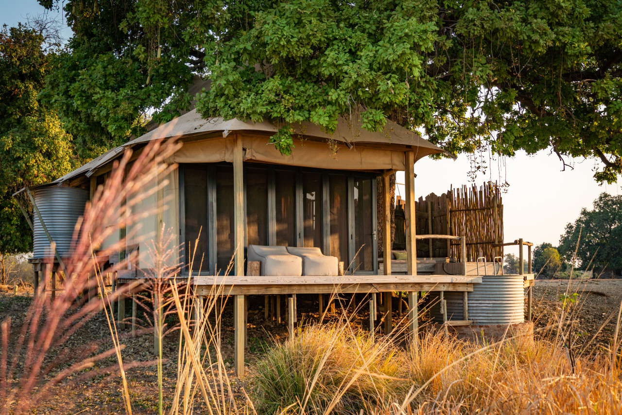 Luxuriöse Zeltsuite mit Veranda zur Tierbeobachtung