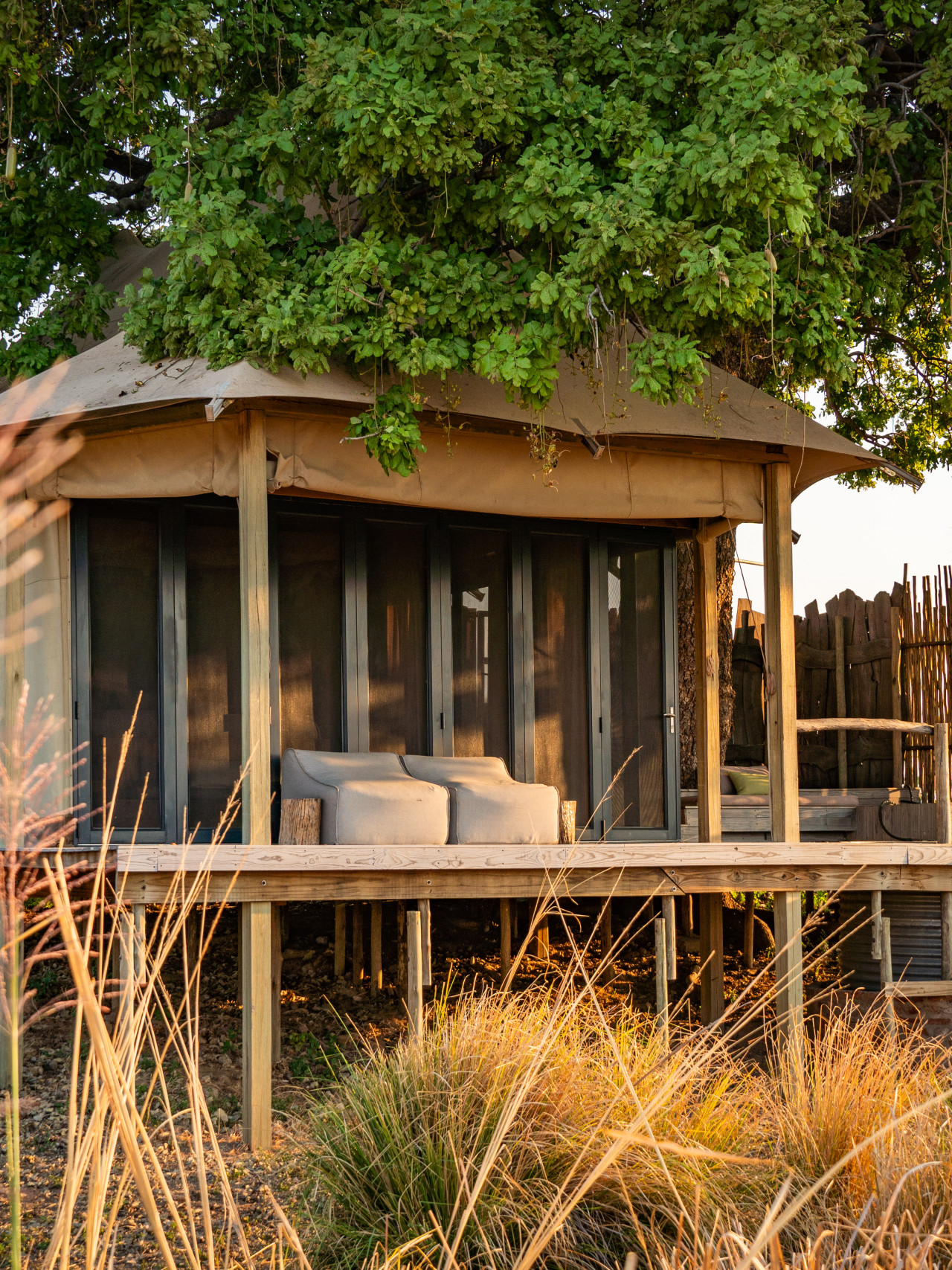 Luxuriöse Zeltsuite mit Veranda zur Tierbeobachtung