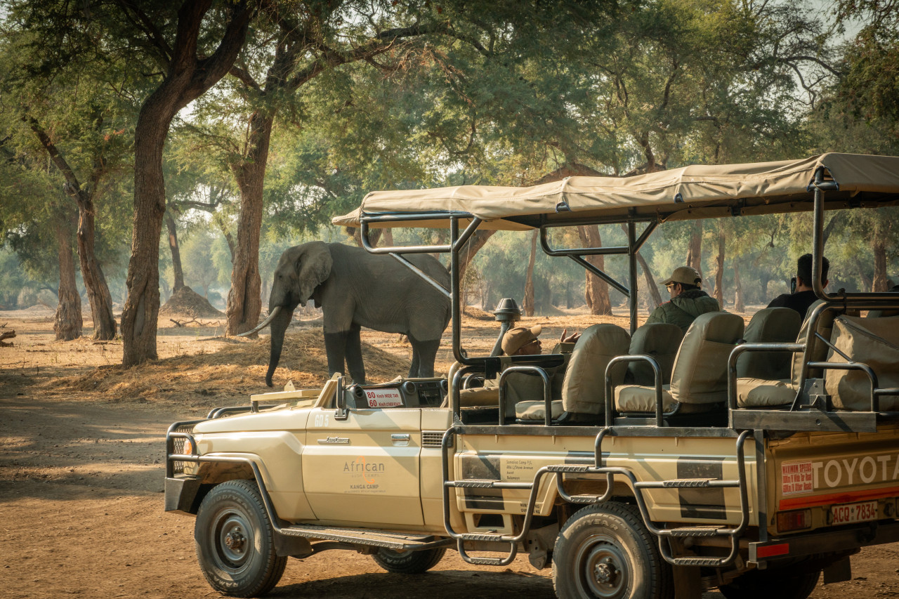Spannende Pirschfahrt in der afrikanischen Wildnis