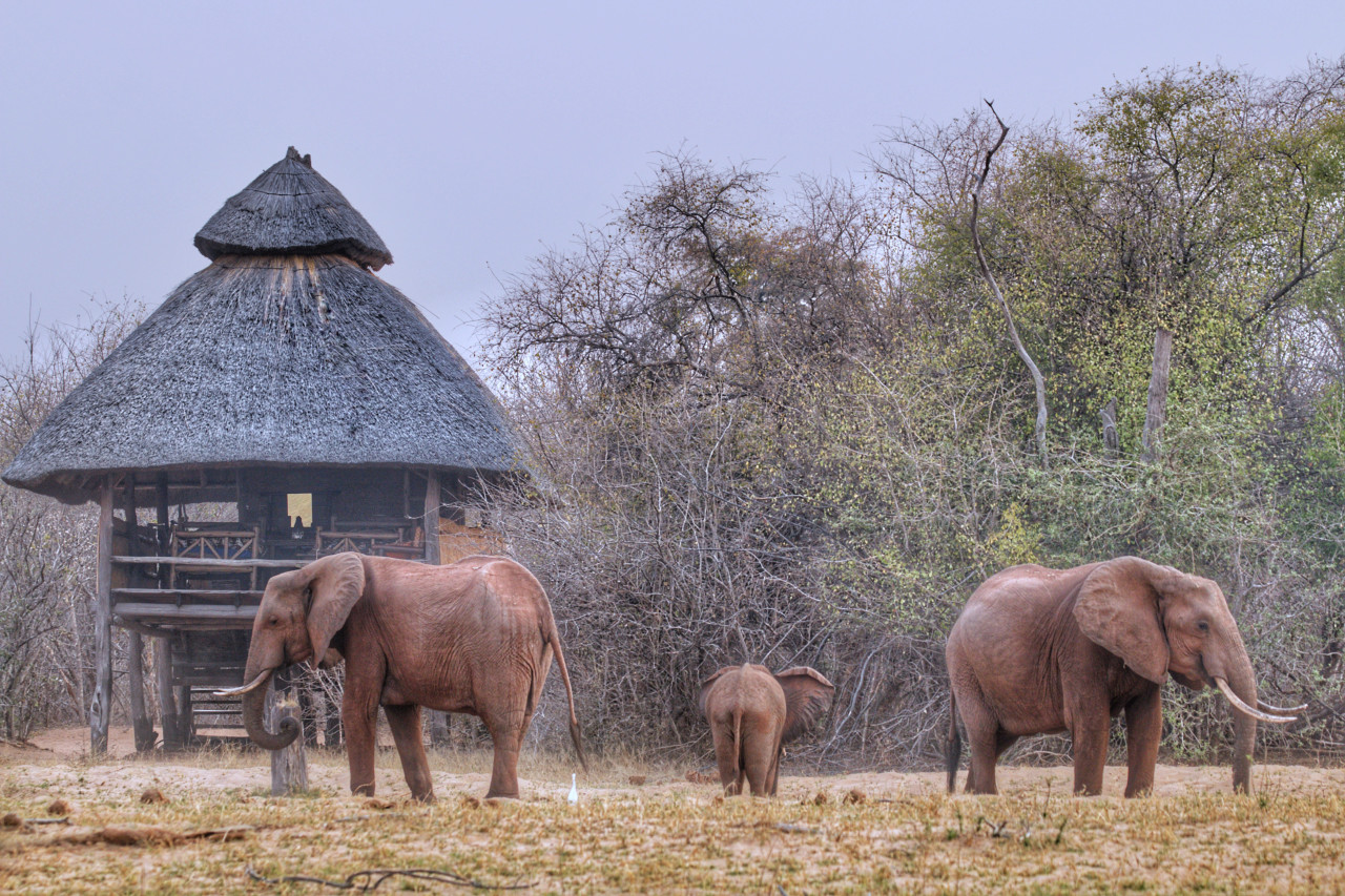 Traditionelles Buschcamp am Lake Kariba