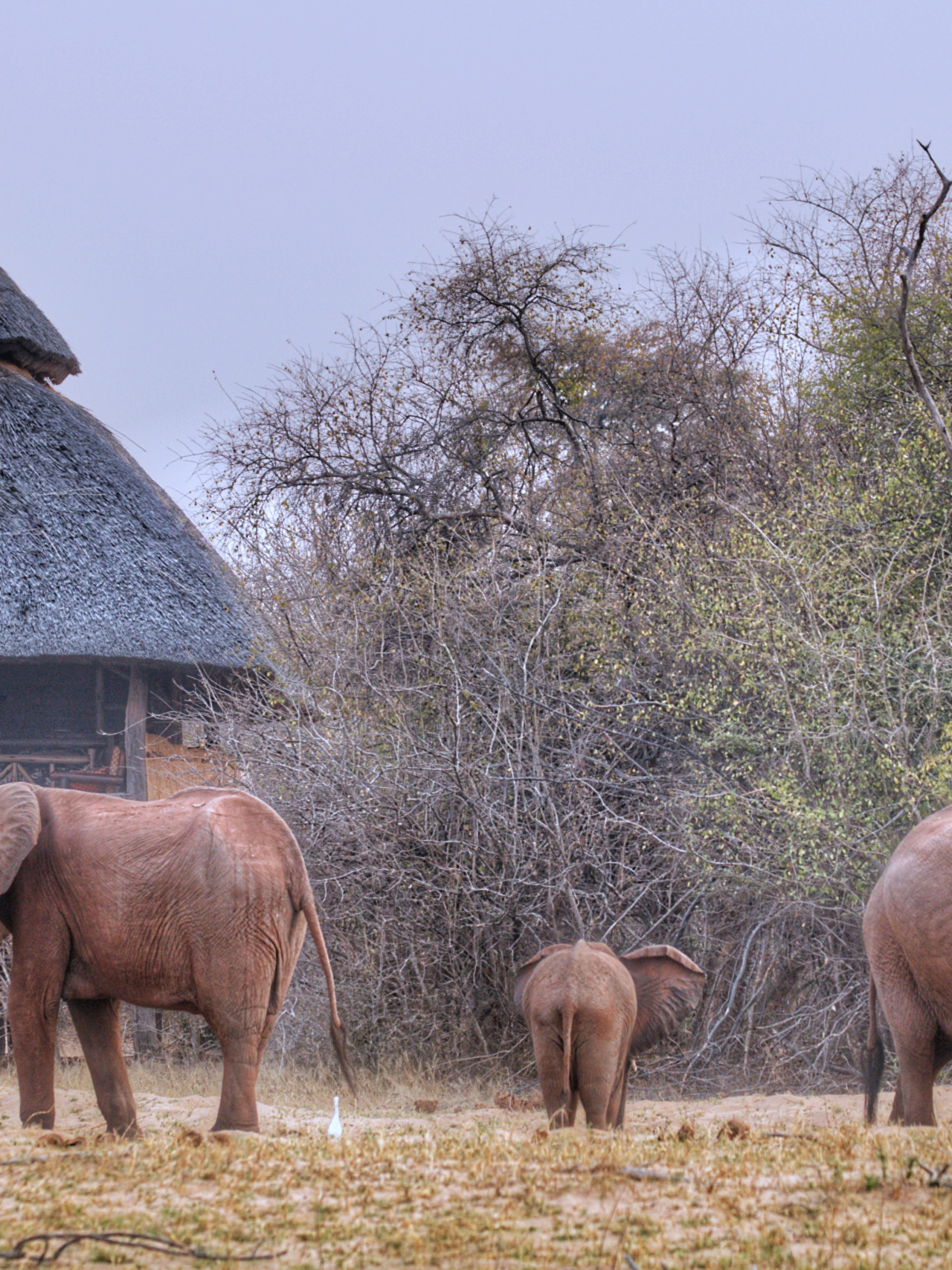 Traditionelles Buschcamp am Lake Kariba