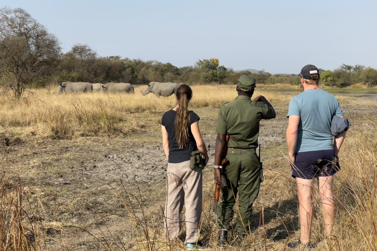 Spannende geführte Nashornwanderung