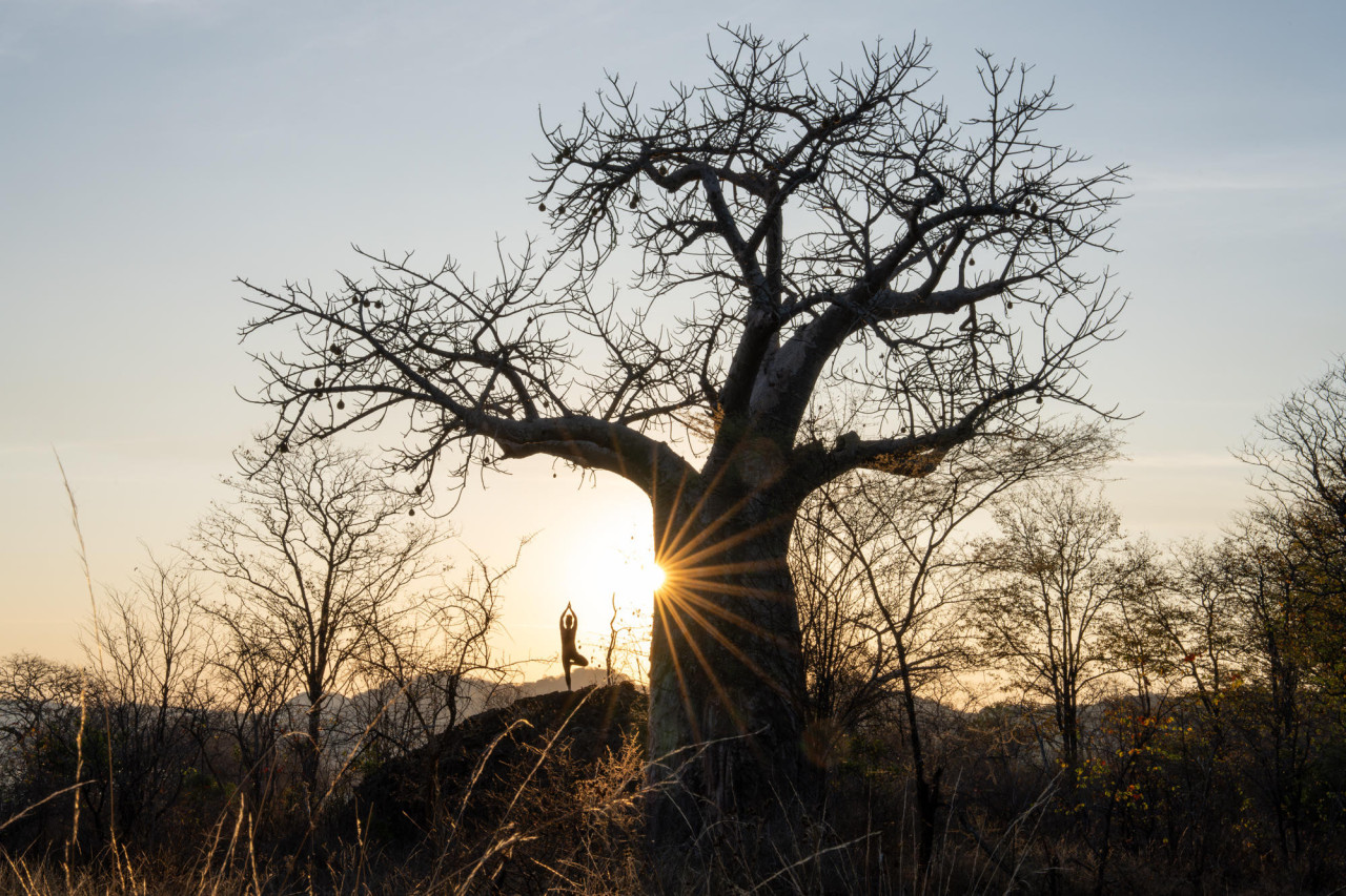 Entspannendes Yoga in der Natur oder auf Ihrer Terrasse