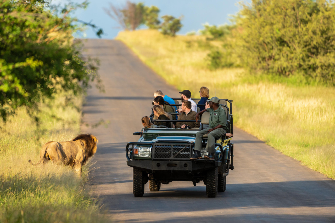 Entdecken Sie die Big Five während Pirschfahrten