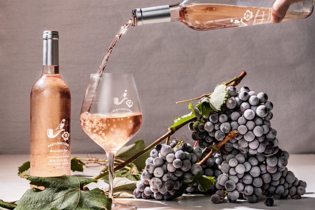Probieren Sie den köstlichen Wein von Babylonstoren
